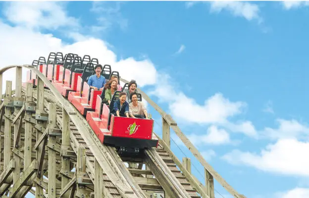 木製コースターエルフ