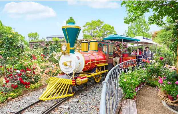 ノームトレイン